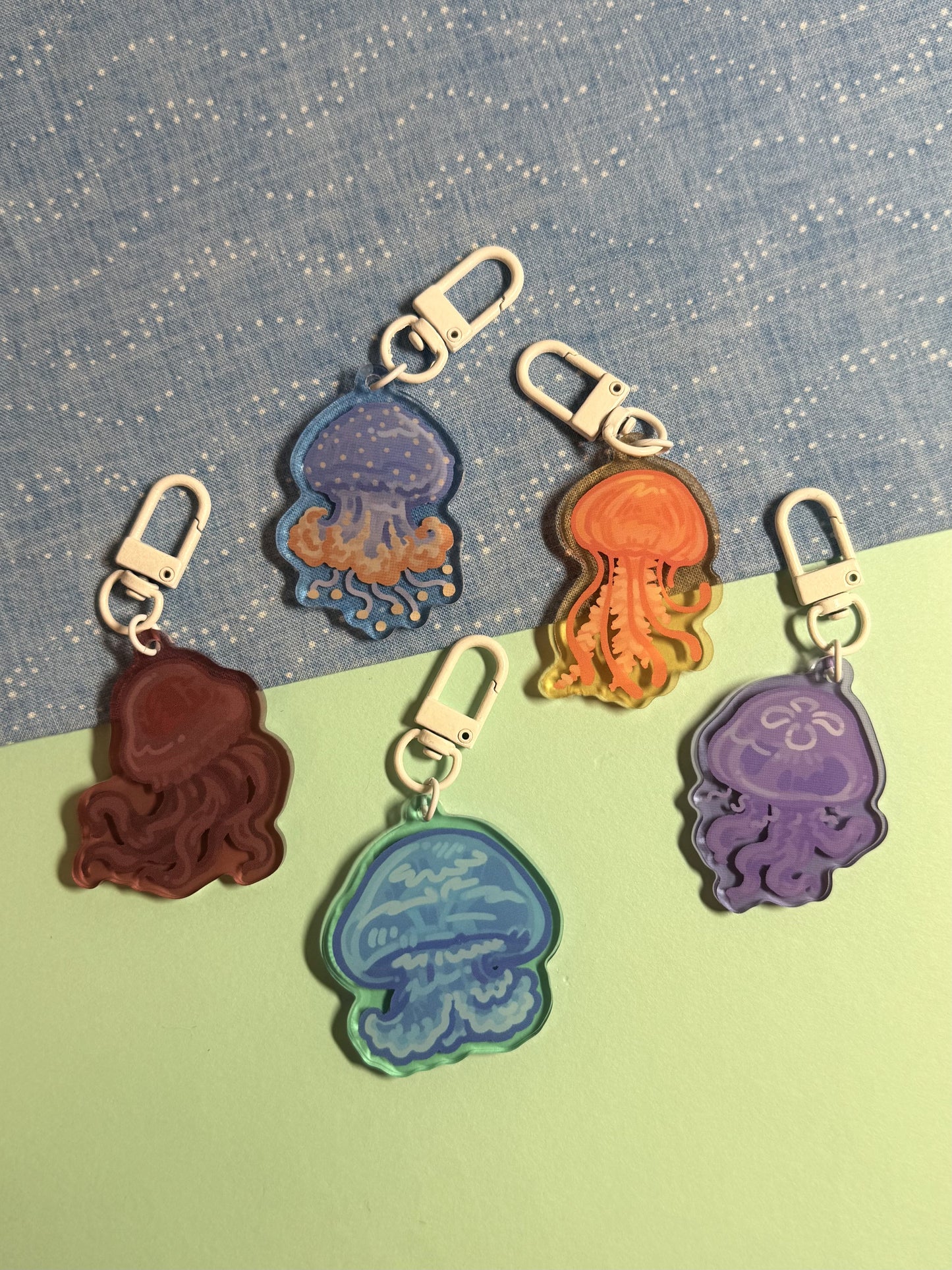Jellyfish Blind Bag